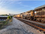 CSX 313